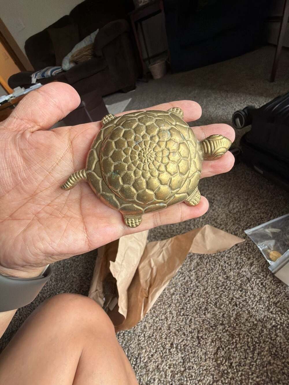 Vintage Italian Brass Turtle Trinket Box (#s005)